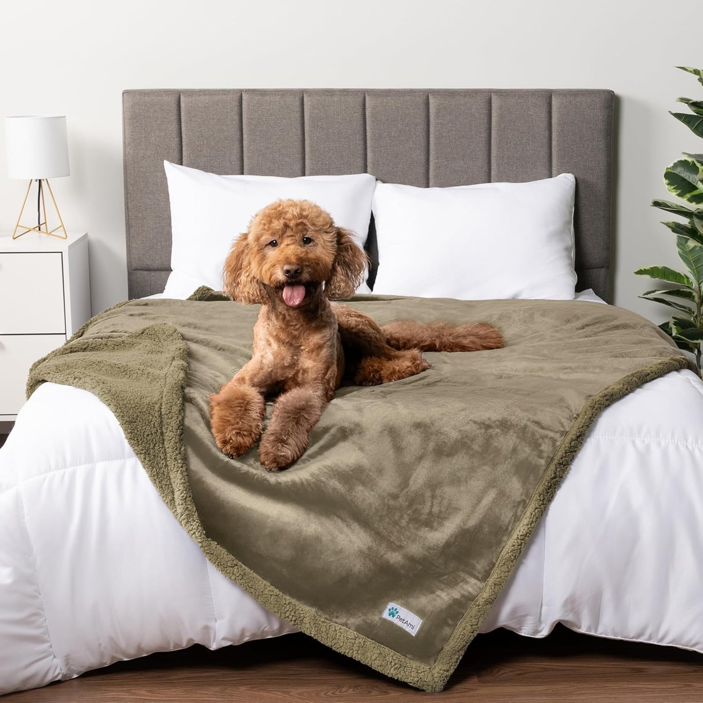 Waterproof Dog Blanket for Medium Large Dog Puppy Cat Throw for Couch Cover Leakproof Protection, Sherpa Fleece, Reversible Soft Washable 60X40 Taupe Taupe