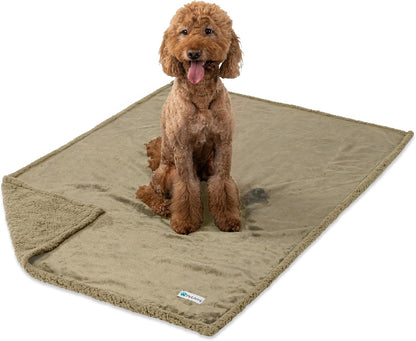Waterproof Dog Blanket for Medium Large Dog Puppy Cat Throw for Couch Cover Leakproof Protection, Sherpa Fleece, Reversible Soft Washable 60X40 Taupe Taupe